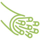 Fiber green