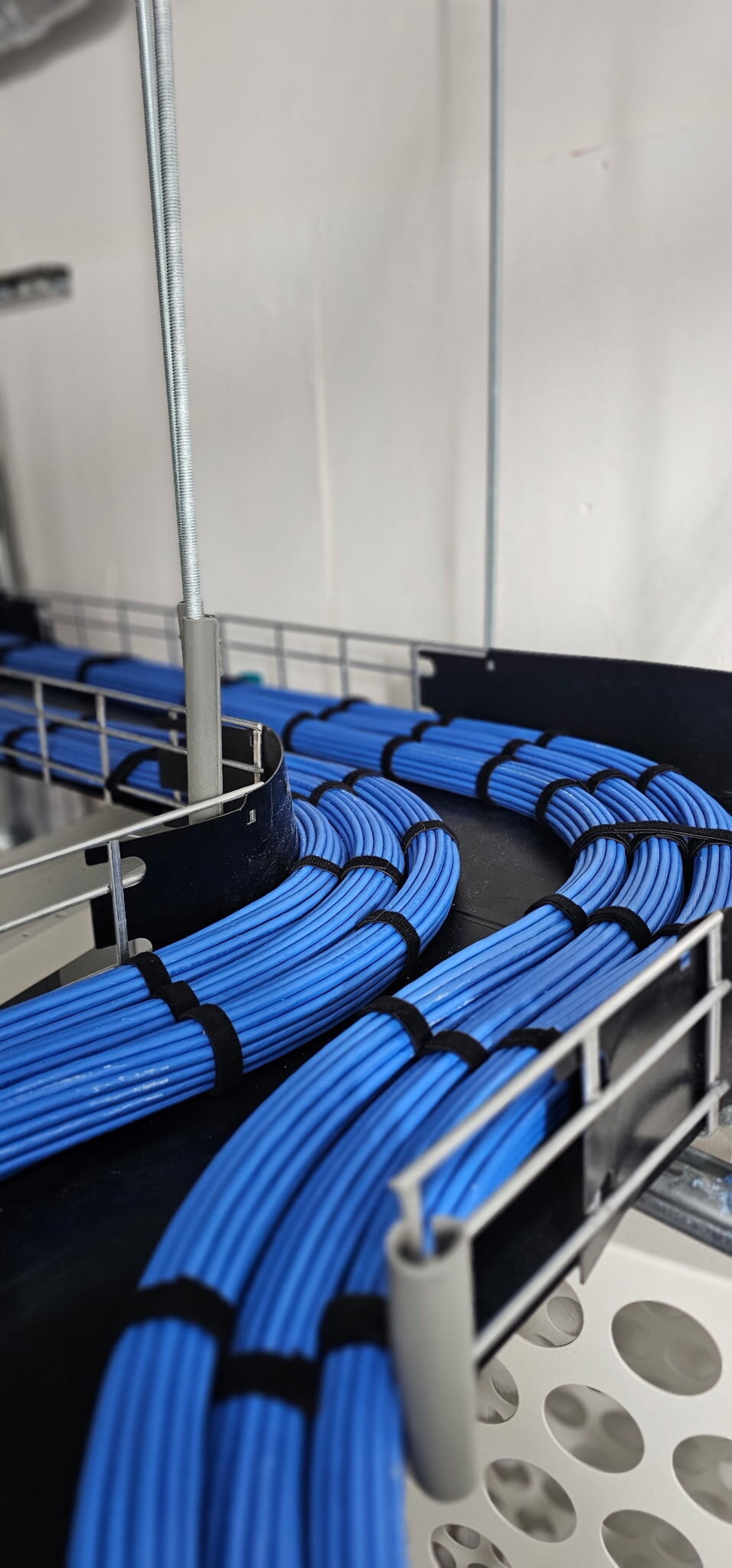 Cat 6 Cable