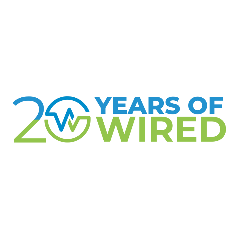 20 Year Logo Blue Green